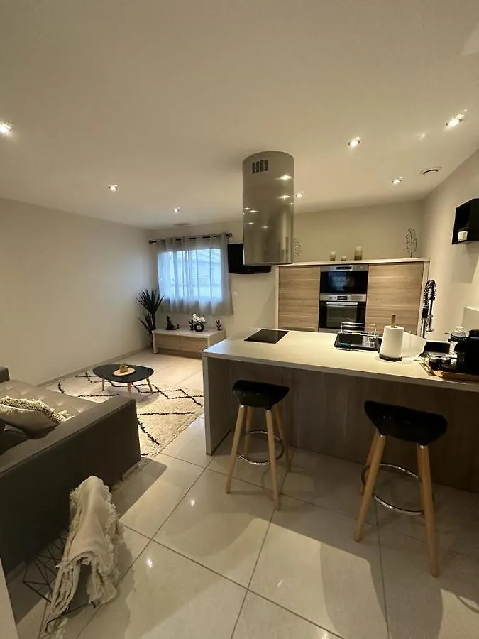 Appartement Maison D'Hotes Chic A Beauzelle France